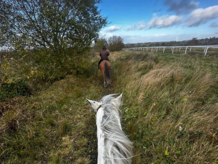 Adult 1 week break in Scotland